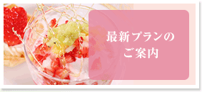最新プランのご案内