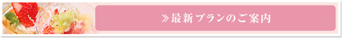 最新プランのご案内