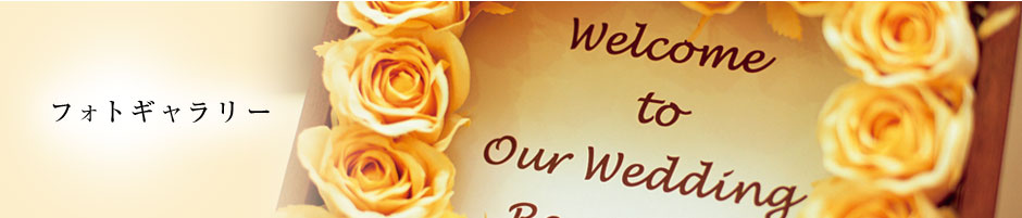 フォトギャラリー